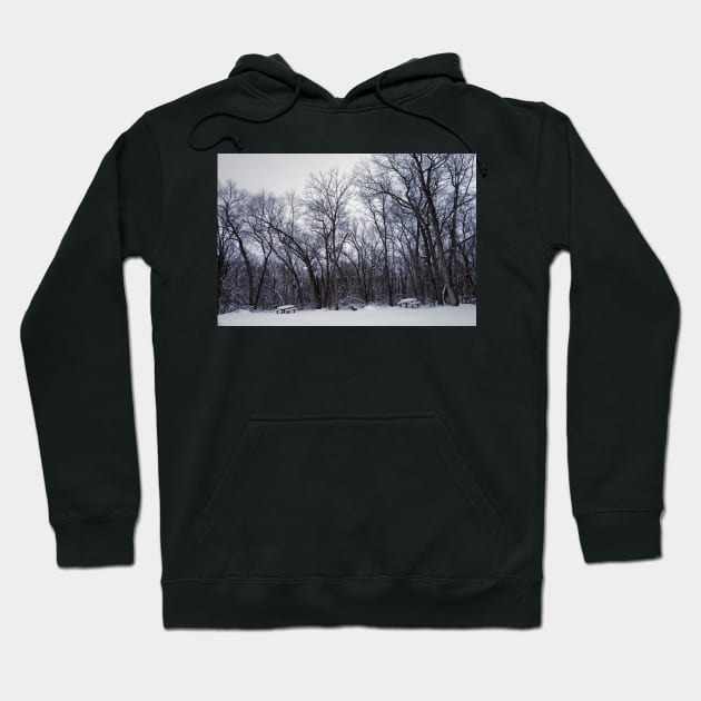 Winter's Arboreal Majesty Hoodie by bobmeyers